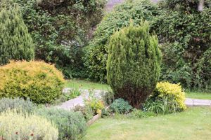 Photo 13- click for photo gallery